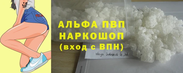 крисы Верхний Тагил