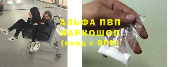 крисы Верхний Тагил